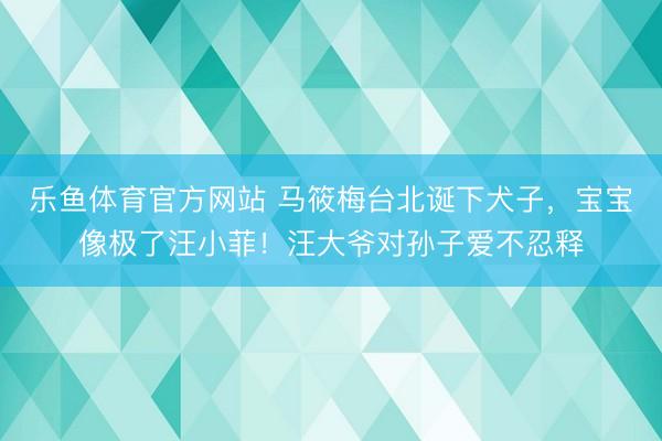 乐鱼体育官方网站 马筱梅台北诞下犬子,宝宝像极了汪小菲!汪大爷对孙子爱不忍释