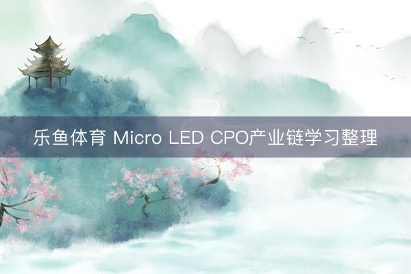 乐鱼体育 Micro LED CPO产业链学习整理